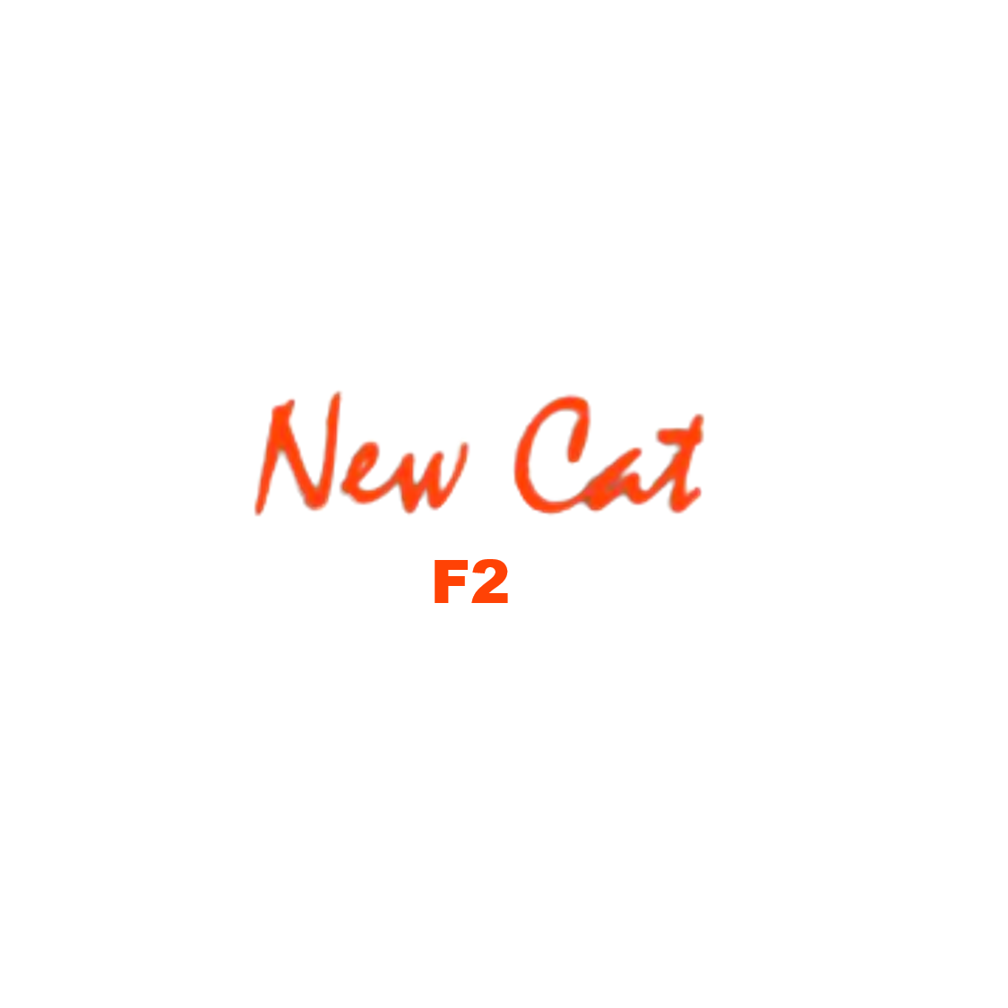 New cat F2