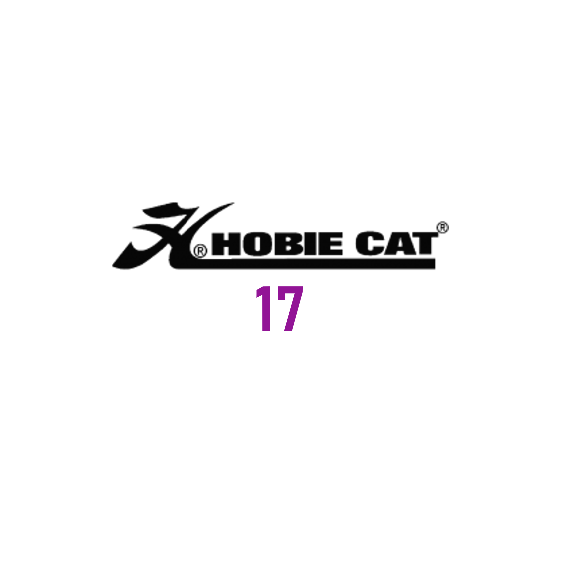 Hobie cat 17