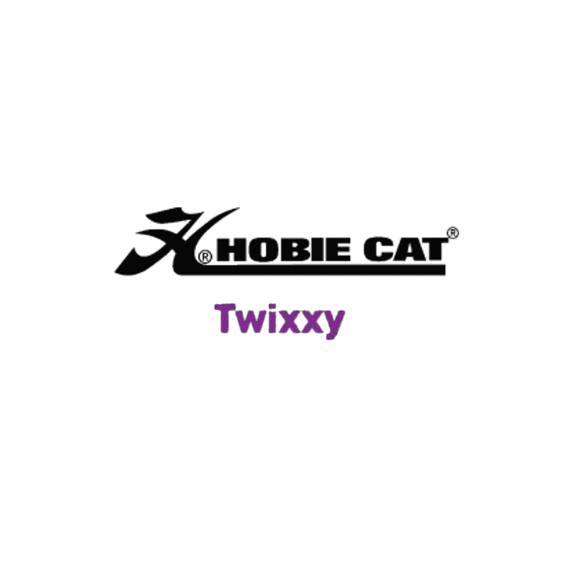 Hobie cat Twixxy